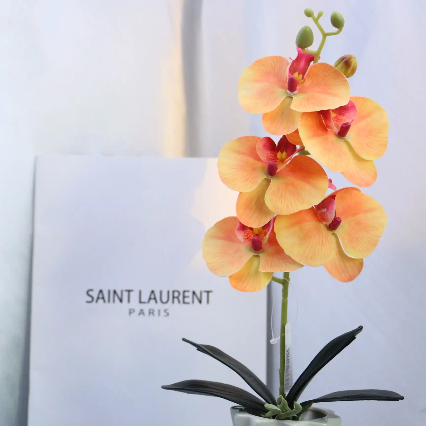 5 head phalaenopsis artificial flower home bedroom decoration phalaenopsis (复制) 5 head phalaenopsis artificial flower home bedroom decoration phalaenopsis (复制)