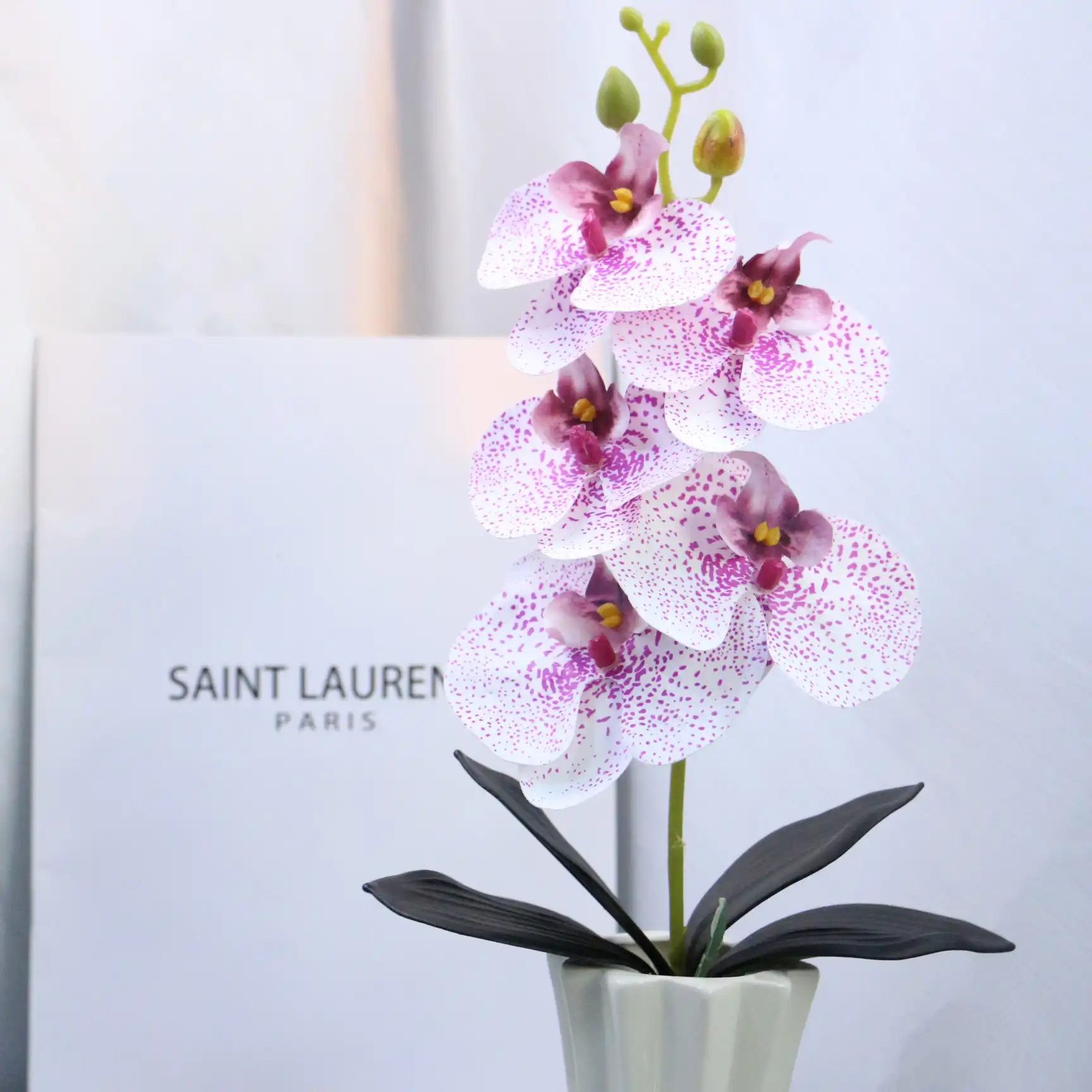 5 head phalaenopsis artificial flower home bedroom decoration phalaenopsis (复制) 5 head phalaenopsis artificial flower home bedroom decoration phalaenopsis (复制)