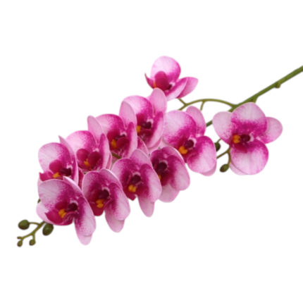51 centimeters, 5 forks, 15 simulated orchids bouquet