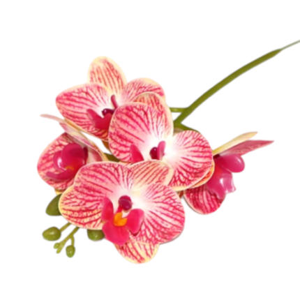 51 centimeters, 5 forks, 15 simulated orchids bouquet